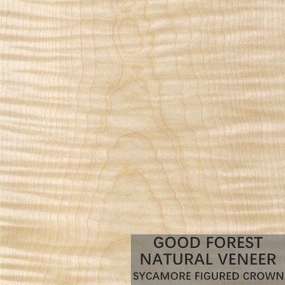 Naturalny fornir figurowy jawor 0,3 mm - 0,5 mm do drzwi wewnętrznych