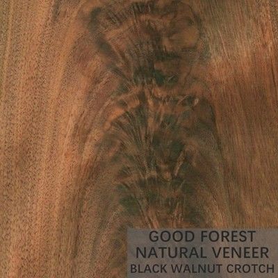 Arkusze forniru z naturalnego drewna w kroczu słojowanym Orzech amerykański