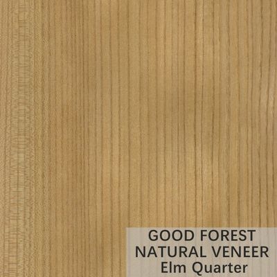 ELM Natural Wood Fornir Crown Cut Grain Zapewnia indywidualną obsługę