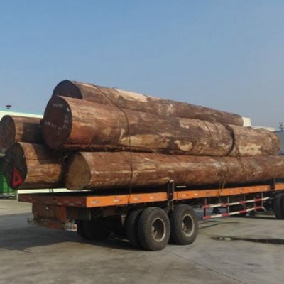 White Apricot Engineered Wood Fornir H86C Technika cięcia plasterków do pokrycia ścian
