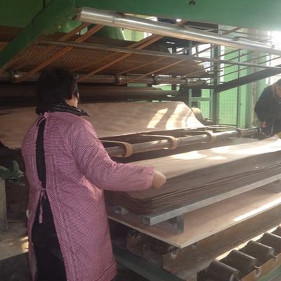 Symulacja Natural American White OAK X024N Arkusz forniru do drzwi i okien ISO