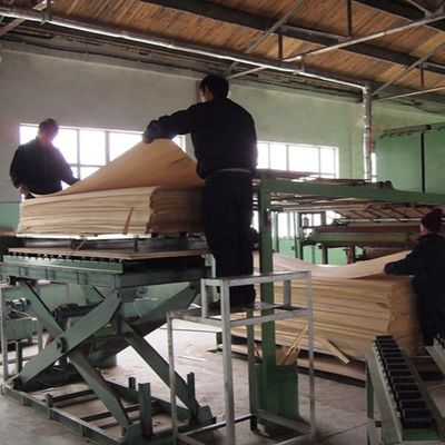 Slice Cut Technics Man Made Wood Fornir Biały dąb Quarter Cut H265S