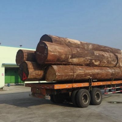 Tekstura siatki 2200mm inżynieryjne fałdy dębowe Do wnętrz Dekoracyjna tablica