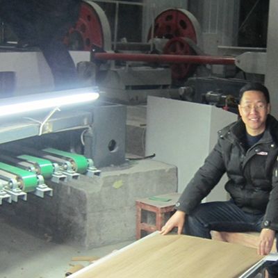 Mała konstrukcja kratowniczo-inżynieryjna drewniana furniera rozmiar wydłużony 2800 mm dla hotelu