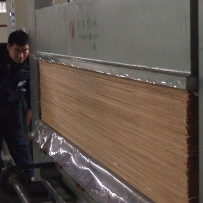 Tekstura siatki 2200mm inżynieryjne fałdy dębowe Do wnętrz Dekoracyjna tablica