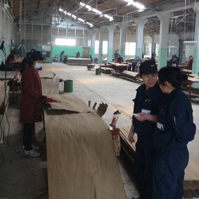 Fancy Wooden Veneer Chiński Ash Man-Made wydłużony rozmiar 3100mm może być dostosowany do dekoracji China Makes
