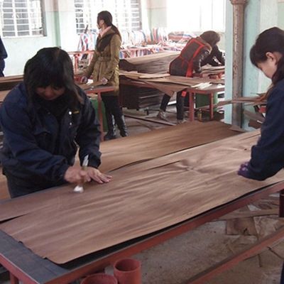 PXM-L5.2N Sztuczna furniera drewniana rozmiar 3100 mm, rozmiary rozszerzone na zamówienie, dostawa hurtowa do produkcji paneli