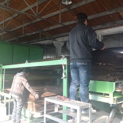 Fancy inżynieryjne drewno finery of Quandong grubość 0,18-0,6 mm dla dekoracji hotelowej można dostosować