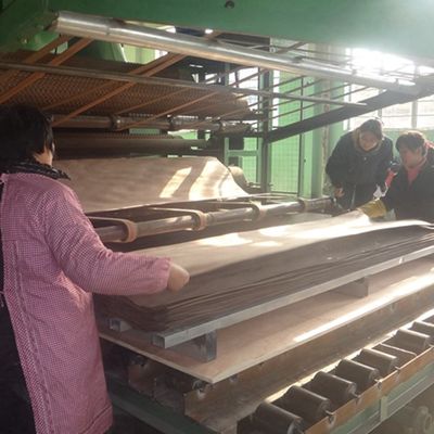 3D Recon Wooden Veneer 3DZM-L5.0 For Cabinet Face Interior Wall Wooden Veneer 0.5mm Niestandardowe rozmiary i tekstury