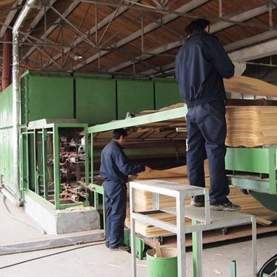 Fancy Wooden Veneer Chiński Ash Man-Made wydłużony rozmiar 3100mm może być dostosowany do dekoracji China Makes