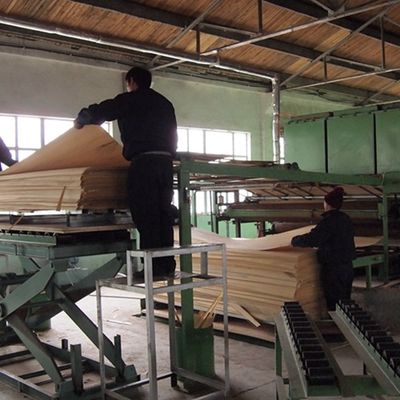 Specjalnie wyprodukowana fałeta drewniana z czarno-białym korzeniem 3N do dekoracji 3100 mm