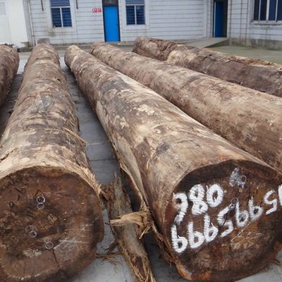 High-End Inżynieryjne drewno finery European Walnut E.WT-X7288N Techniki cięcia plastrów prosto do drzwi China Manufacturer
