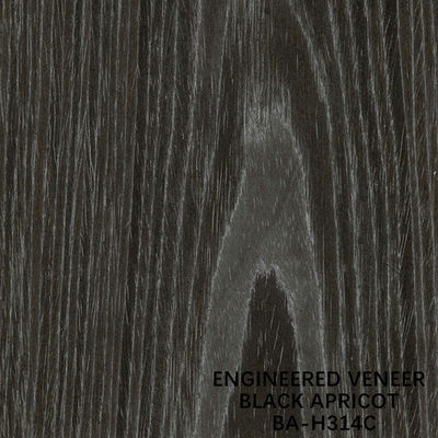 Meble Black Apricot Engineered Wood Fornir H314C Flat Cut Crown Grain 2500-3100mm