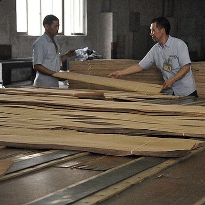 Prawdziwe drewno fałdowane drewno bassowe cięte do rozmiaru 13 cm do góry płasko cięte prosto do szafki