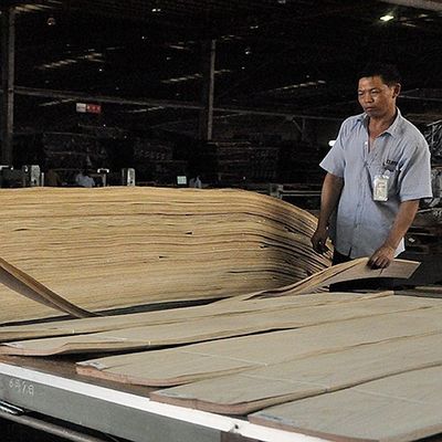OEM naturalny fornir z drewna mahoniowego o prostym kształcie ziarna 2500-3100 mm do skóry drzwi