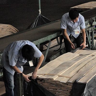 Okleina z naturalnego drewna wiśniowego z płaskim cięciem korony 0,15-0,5 mm do paneli i powierzchni mebli