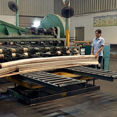 Afryka Naturalna okleina z drewna Koto ćwiartka prosta Ziarno Dobra jakość do procesu barwienia Można dostosować