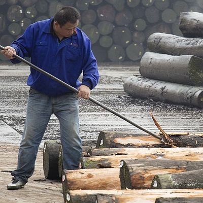 Afryka Naturalna okleina z drewna Koto ćwiartka prosta Ziarno Dobra jakość do procesu barwienia Można dostosować