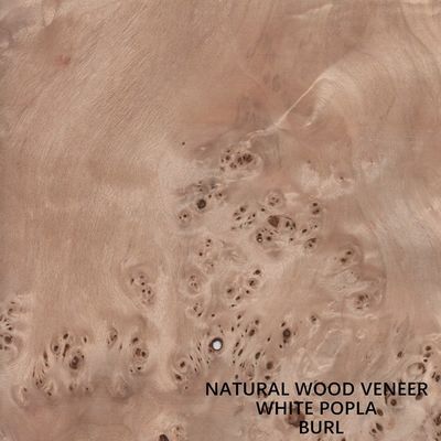 Europa naturalna okleina z drewna topoli Mapa Burl Grain wysokiej jakości grubość 0,5 mm do instrumentu muzycznego
