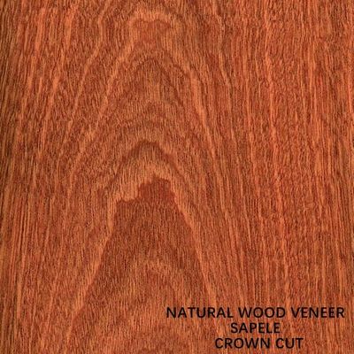 Panele i drzwi Afryka Naturalna okleina z drewna Sapele Flat Cut Crown Grain AAA