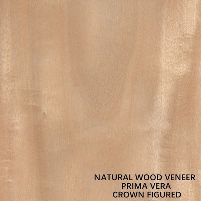 Okleina naturalna Primavera OEM z płaskim cięciem korony do paneli i mebli 0,5 mm