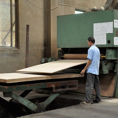 Fancy Hickory Bicolor Crown Ziarno na bazie płyt MDF / płyt wiórowych Fornir Panele 2440x1220mm