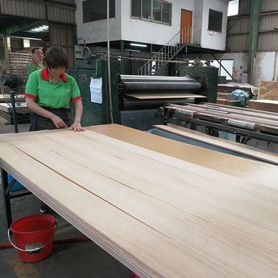 Fancy Hickory Bicolor Crown Ziarno na bazie płyt MDF / płyt wiórowych Fornir Panele 2440x1220mm