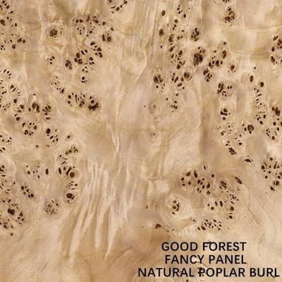 Fantazyjny panel z naturalną białą topolą Burl Fornir do dekoracji hotelu 2440/2745 mm Wydłużony rozmiar Dostawa w Chinach