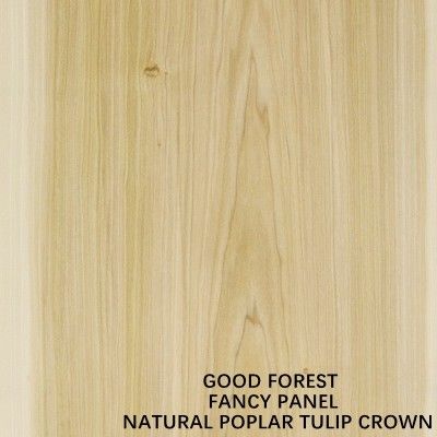 Topola z koroną / okleina z drewna tulipanowego Fancy Płyta wiórowa 9 12 15 18 25 30 mm 2440 x 1220 mm