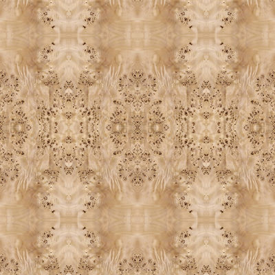 Fantazyjny panel z naturalną białą topolą Burl Fornir do dekoracji hotelu 2440/2745 mm Wydłużony rozmiar Dostawa w Chinach