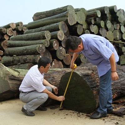 Wymyślne składniki drewna z srebrnej gruszki, techniki cięcia dla prostych ziaren, szerokość 1280 mm, splicing dla skóry drzwi