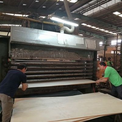 Wysokiej klasy inżynieryjnie wykonane fałdery drewniane Srebrna strzałka SI.AW-X8023 Trójwymiarowe ziarno do dekoracji hotelowej China Factory