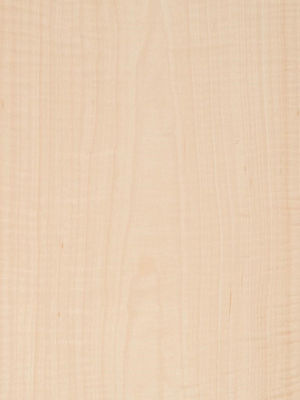 Dodanie elegancji do przestrzeni Maple Veneer Panels Flocculent Cienie Manifestacje tekstury