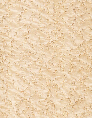 Dodanie elegancji do przestrzeni Maple Veneer Panels Flocculent Cienie Manifestacje tekstury
