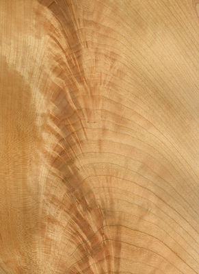 Natural American Cherry Wood Veneer Sheet Slice Flat Cut 2200-3200mm Normalny rozmiar Do dekoracji mebli