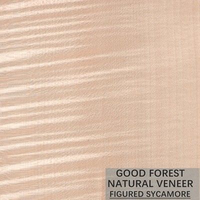 Naturalny fornir figurowy jawor 0,3 mm - 0,5 mm do drzwi wewnętrznych