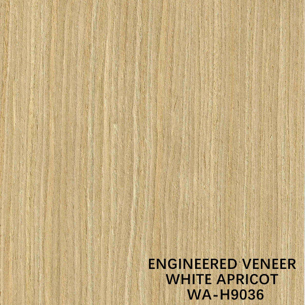 ISO The Simulation White Apricot Wood Fornir H9036 Proste cięcie dla producenta powierzchni szafek z Chin