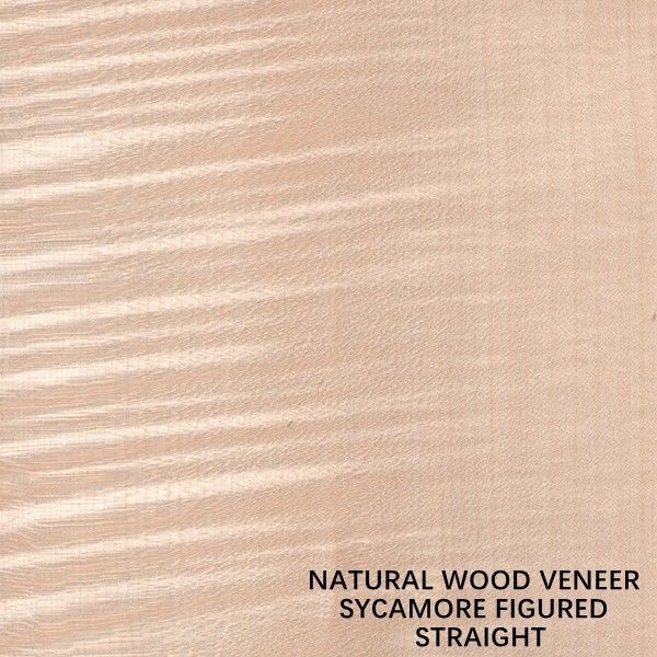 Europa Naturalna figura Okleina z drewna jaworowego ćwiartka Prosta grubość ziarna 0,5 mm do barwienia i szafki