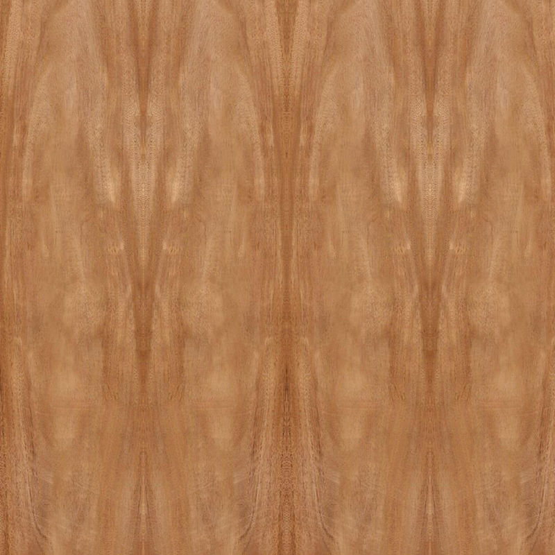 Natural Africa Mahogany Wood Fornir Crown Grain Standardowy rozmiar 2440 * 1220 mm Do szafki drzwiowej FSC