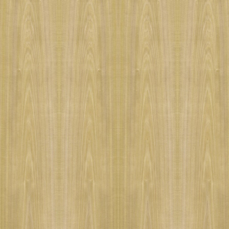 Topola z koroną / okleina z drewna tulipanowego Fancy Płyta wiórowa 9 12 15 18 25 30 mm 2440 x 1220 mm