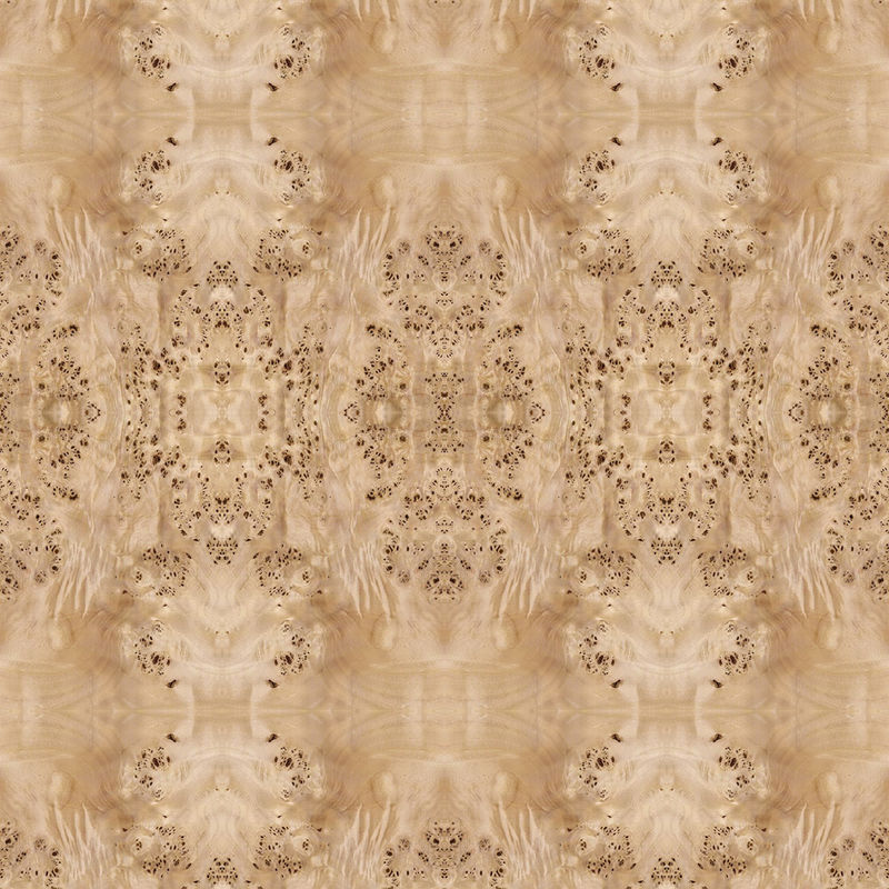 Fantazyjny panel z naturalną białą topolą Burl Fornir do dekoracji hotelu 2440/2745 mm Wydłużony rozmiar Dostawa w Chinach