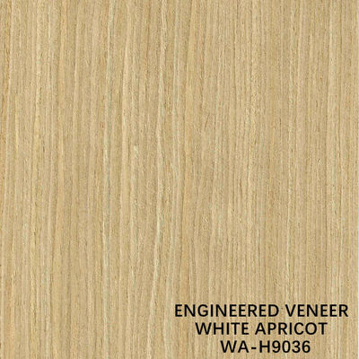 ISO The Simulation White Apricot Wood Fornir H9036 Proste cięcie dla producenta powierzchni szafek z Chin