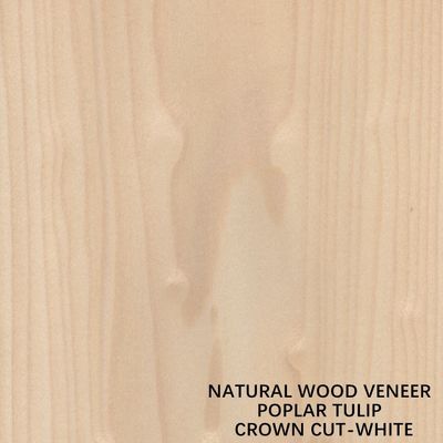 Tulip American Natural Topola Wood Fornir Flat Cut Crown White For Doors