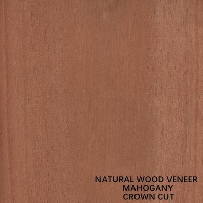 Meble I Instrumenty Muzyczne Okleina z Naturalnego Drewna Mahoń Płasko Cięta Korona Cięta
