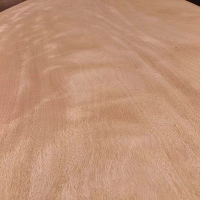 2440*1220 Cały kawałek Gabon Okume fazowanie drewna 0.2mm - 0.4mm Dla fabryki Fancy Panels