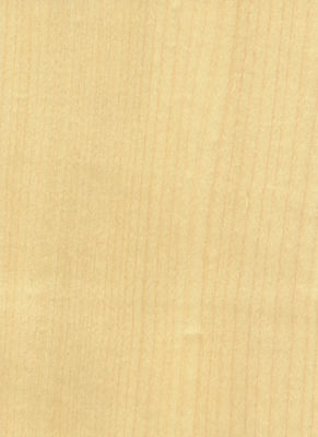 Dodanie elegancji do przestrzeni Maple Veneer Panels Flocculent Cienie Manifestacje tekstury